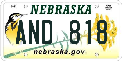 NE license plate AND818