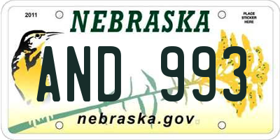 NE license plate AND993