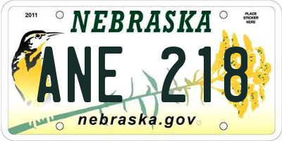 NE license plate ANE218