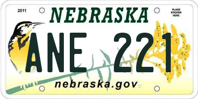 NE license plate ANE221