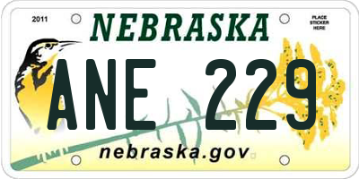 NE license plate ANE229