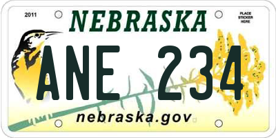 NE license plate ANE234