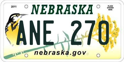NE license plate ANE270