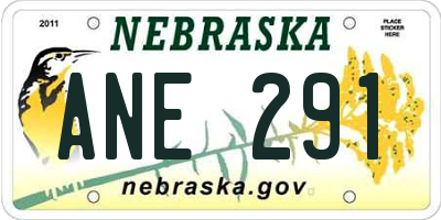 NE license plate ANE291