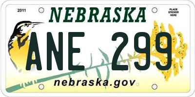 NE license plate ANE299