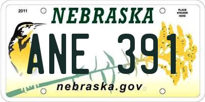 NE license plate ANE391