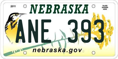 NE license plate ANE393