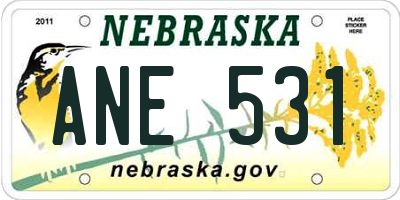 NE license plate ANE531