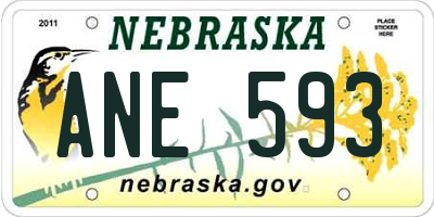 NE license plate ANE593