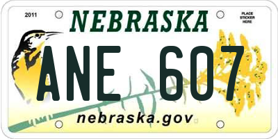 NE license plate ANE607