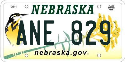 NE license plate ANE829