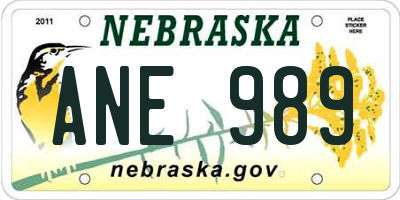 NE license plate ANE989