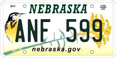 NE license plate ANF599