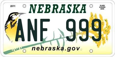 NE license plate ANF999