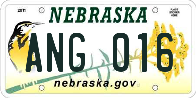 NE license plate ANG016