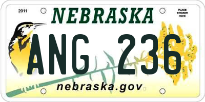 NE license plate ANG236