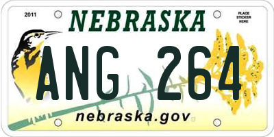 NE license plate ANG264