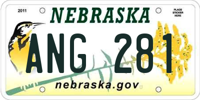 NE license plate ANG281