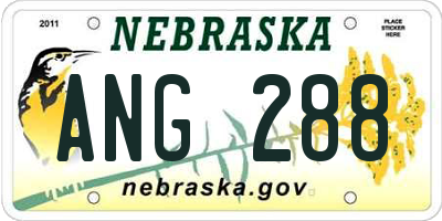 NE license plate ANG288