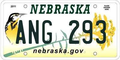 NE license plate ANG293
