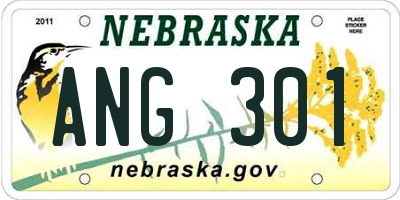NE license plate ANG301