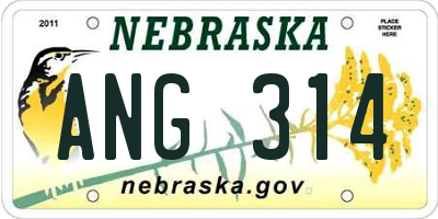 NE license plate ANG314