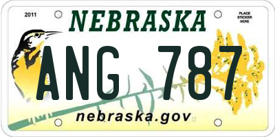 NE license plate ANG787