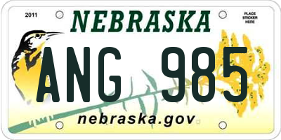 NE license plate ANG985