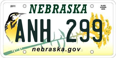 NE license plate ANH299