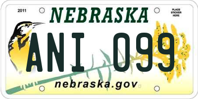 NE license plate ANI099