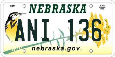 NE license plate ANI136