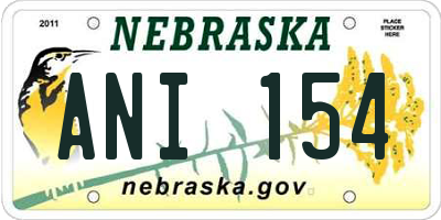 NE license plate ANI154