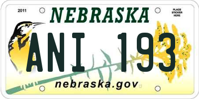 NE license plate ANI193
