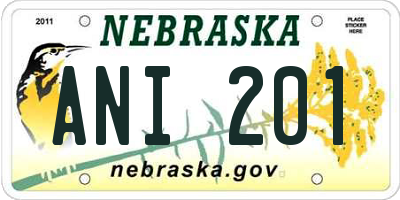 NE license plate ANI201