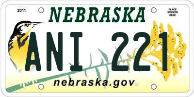 NE license plate ANI221