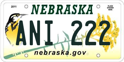 NE license plate ANI222