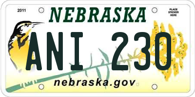 NE license plate ANI230