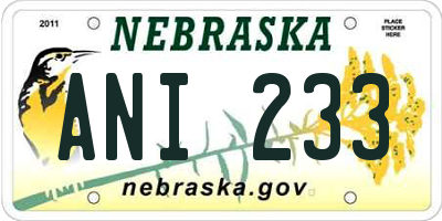 NE license plate ANI233