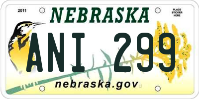 NE license plate ANI299
