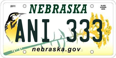 NE license plate ANI333