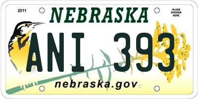 NE license plate ANI393