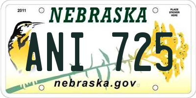 NE license plate ANI725