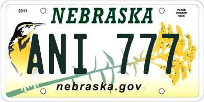 NE license plate ANI777