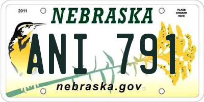 NE license plate ANI791