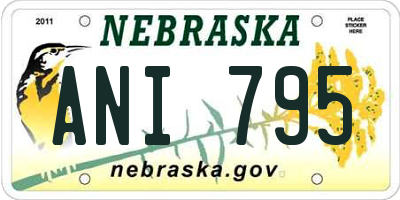 NE license plate ANI795