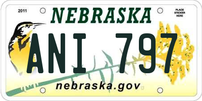 NE license plate ANI797