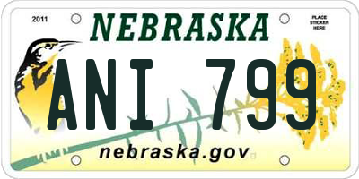 NE license plate ANI799
