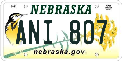 NE license plate ANI807