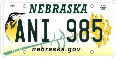 NE license plate ANI985