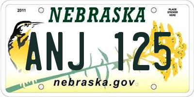 NE license plate ANJ125